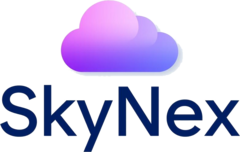 SkyNex Logo